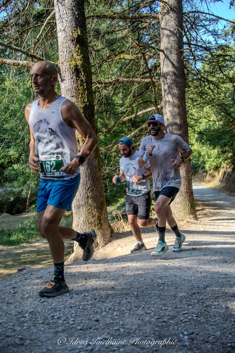 FESTI'RUN Trail REVEL - 18 Juillet 2026 