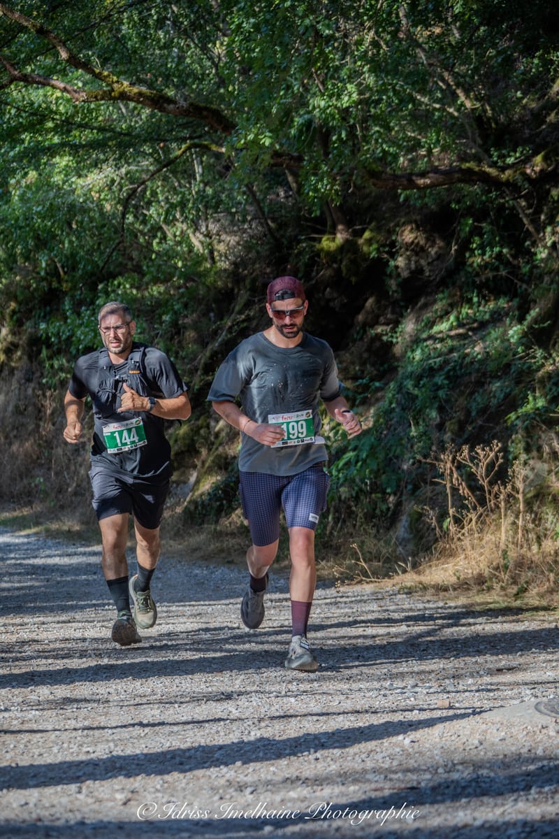  FESTI'RUN Trail REVEL - 18 Juillet 2026 