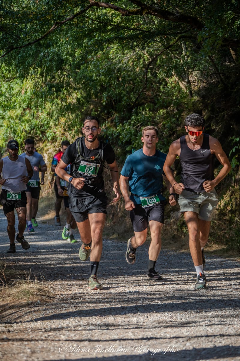  FESTI'RUN Trail REVEL - 18 Juillet 2026 