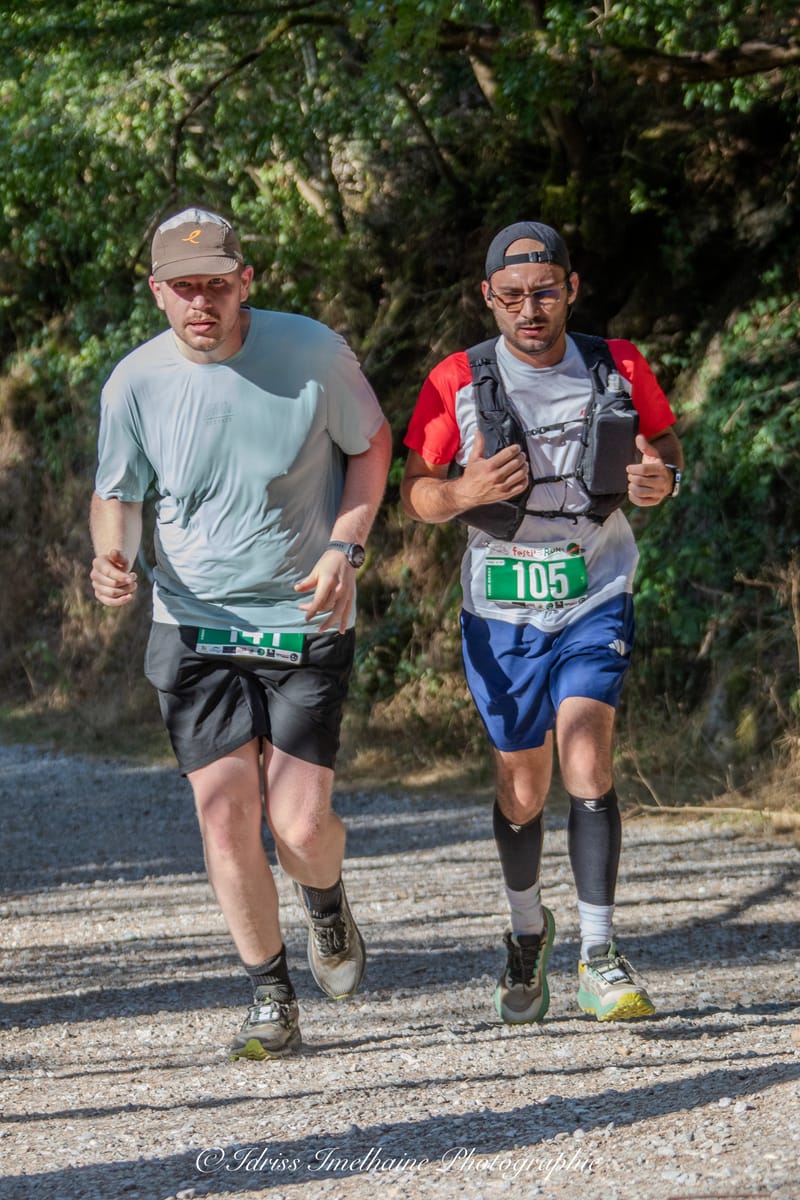  FESTI'RUN Trail REVEL - 18 Juillet 2026 