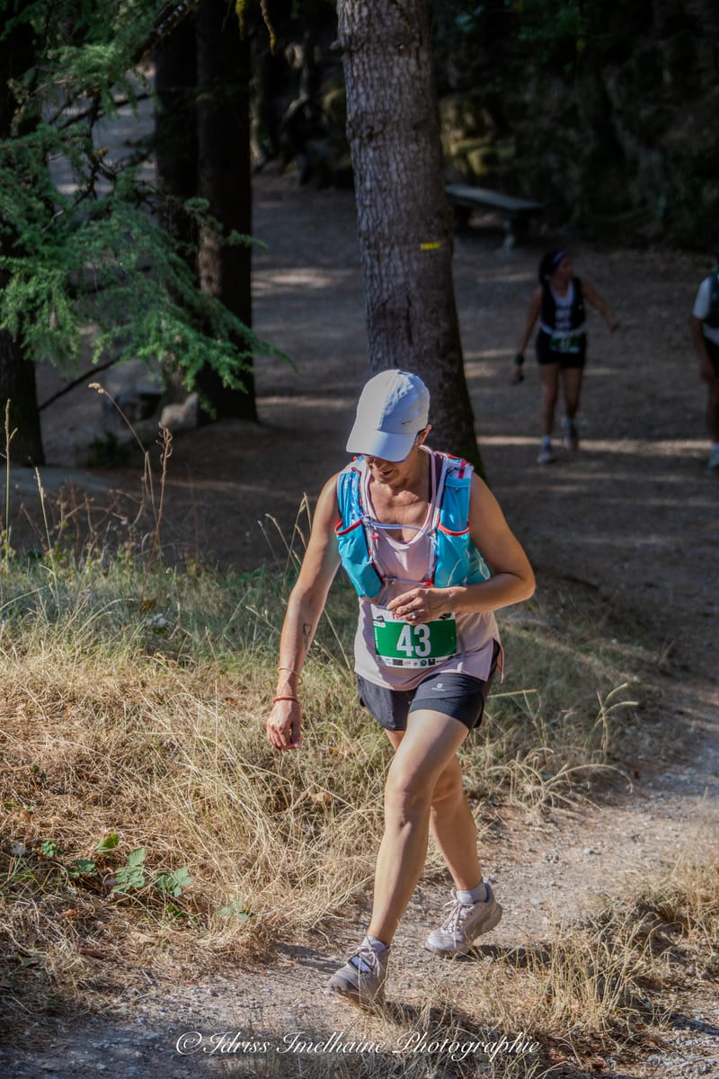  FESTI'RUN Trail REVEL - 18 Juillet 2026 