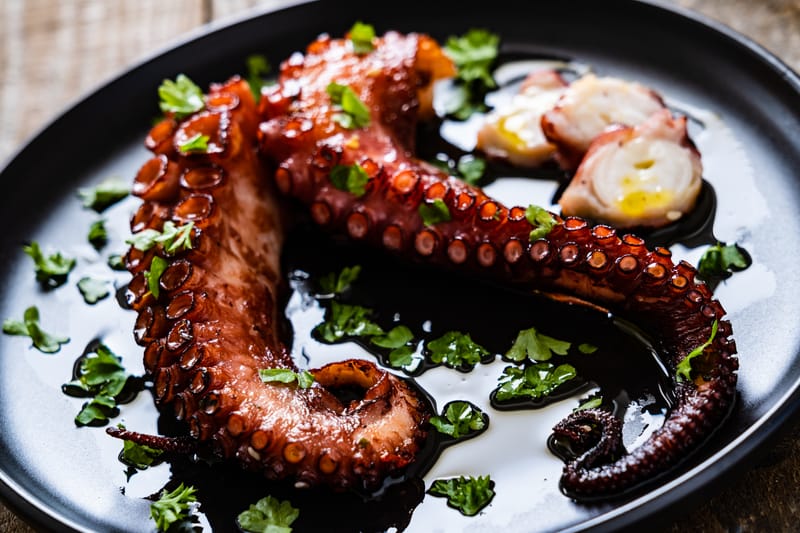 GRILLED OCTOPUS