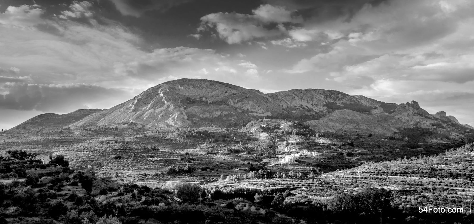 Ares del Bosque - Alicante