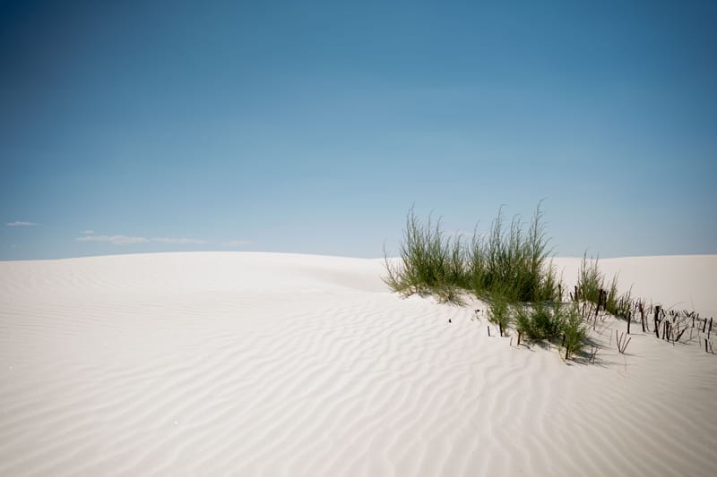 New Mexico United States