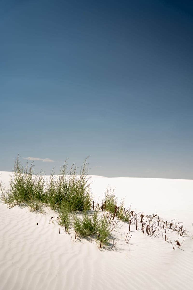 WHITE SANDS