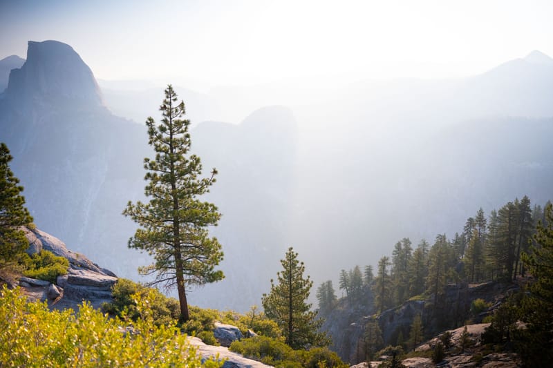 California United States