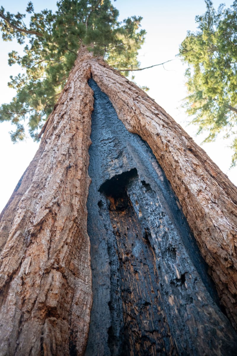 California United States