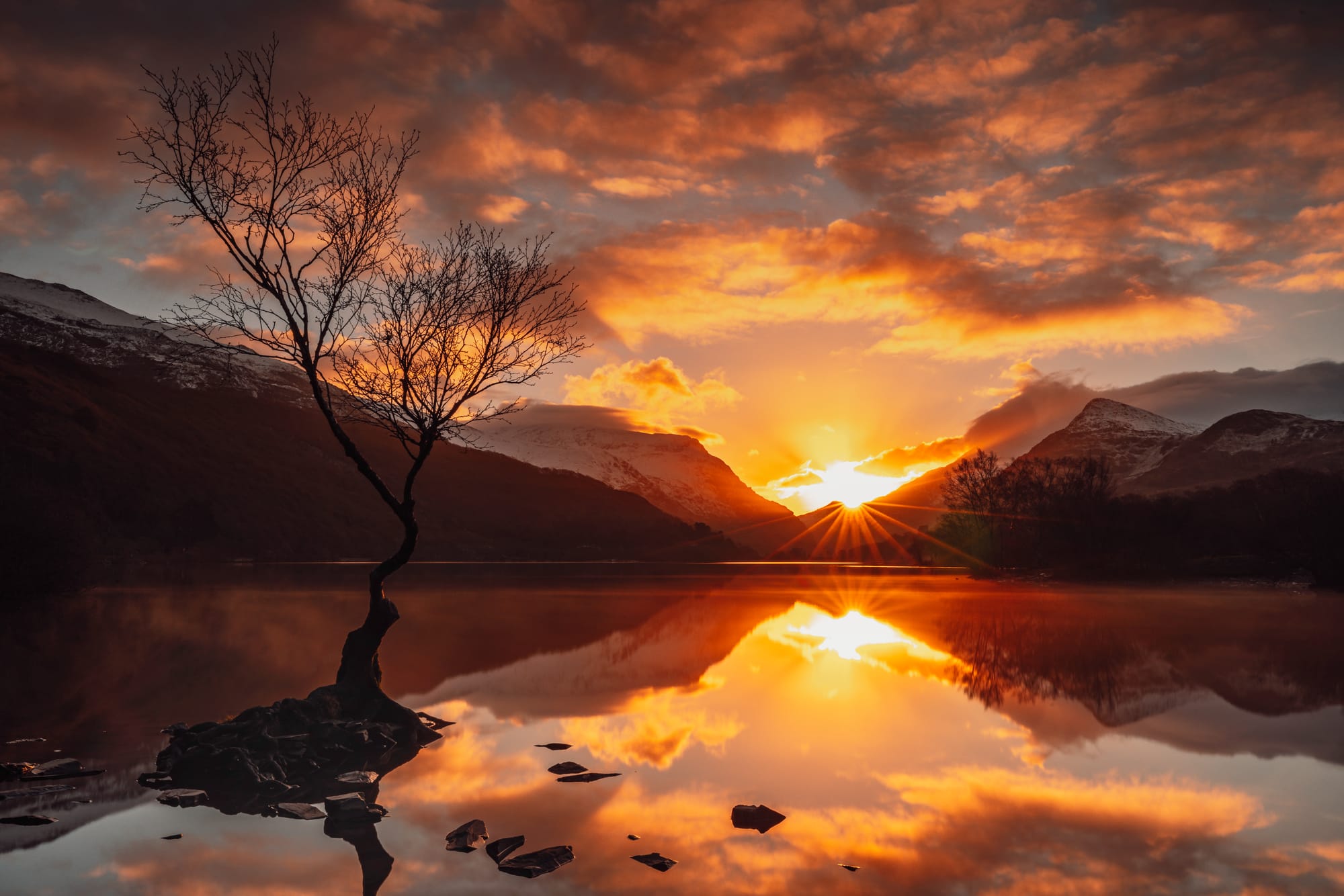 How to Heal a Wounded Heart?