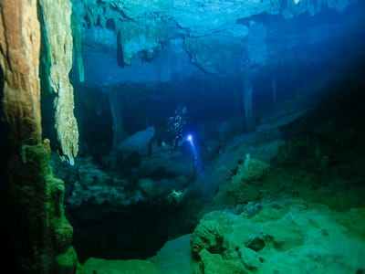 Dive into Adventure: Exploring Cenote Diving in Tulum