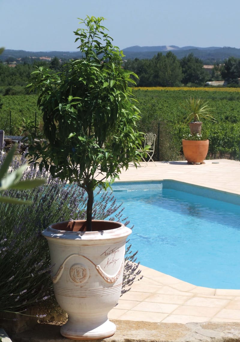 Retrouvez l’art des maîtres potiers cévenols dans des vases incomparables.