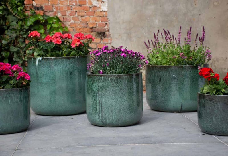 Résistantes au gel, avec des couleurs éclatentes et des formes variés, nos fournisseurs ont pour vous les pièces indispensables pour égayer les extérieurs.