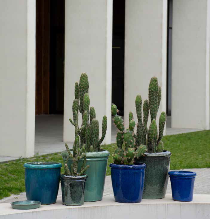 Résistantes au gel, avec des couleurs éclatentes et des formes variés, nos fournisseurs ont pour vous les pièces indispensables pour égayer les extérieurs.