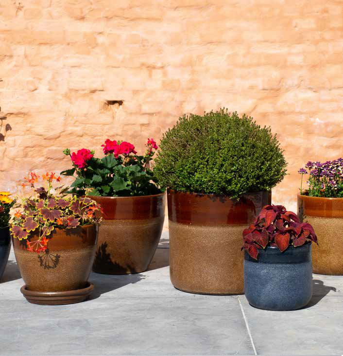 Résistantes au gel, avec des couleurs éclatentes et des formes variés, nos fournisseurs ont pour vous les pièces indispensables pour égayer les extérieurs.