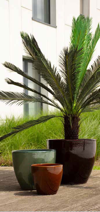 Résistantes au gel, avec des couleurs éclatentes et des formes variés, nos fournisseurs ont pour vous les pièces indispensables pour égayer les extérieurs.