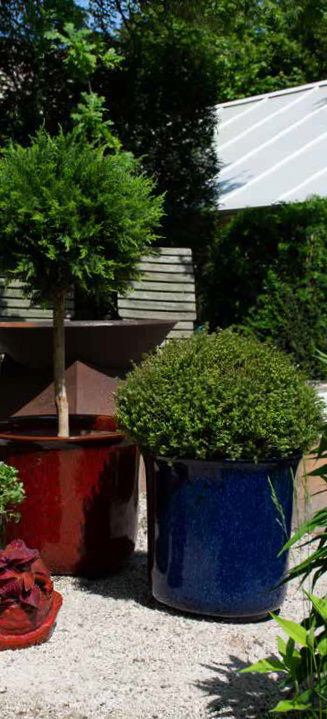 Résistantes au gel, avec des couleurs éclatentes et des formes variés, nos fournisseurs ont pour vous les pièces indispensables pour égayer les extérieurs.