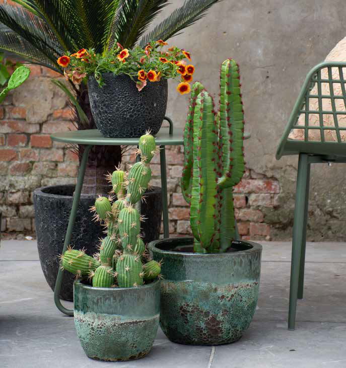 Résistantes au gel, avec des couleurs éclatentes et des formes variés, nos fournisseurs ont pour vous les pièces indispensables pour égayer les extérieurs.