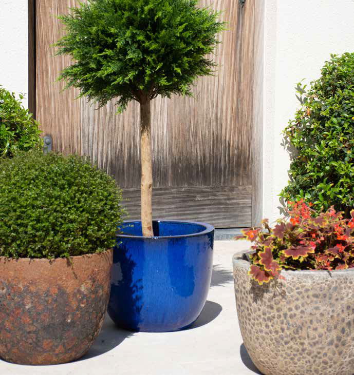 Résistantes au gel, avec des couleurs éclatentes et des formes variés, nos fournisseurs ont pour vous les pièces indispensables pour égayer les extérieurs.