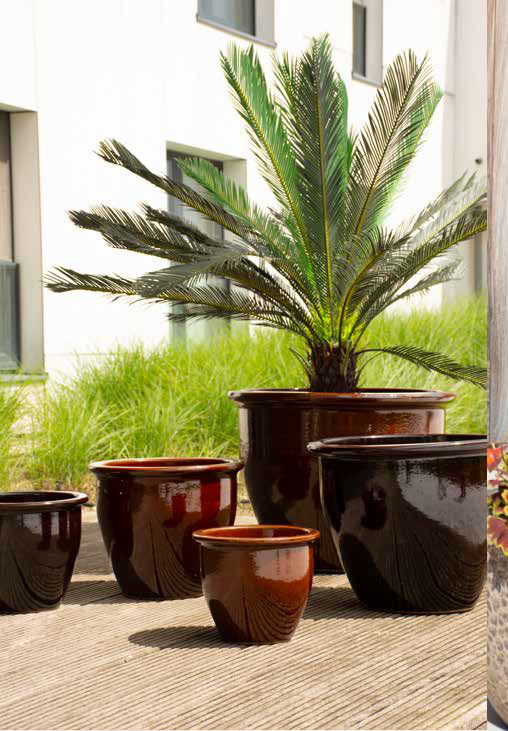 Résistantes au gel, avec des couleurs éclatentes et des formes variés, nos fournisseurs ont pour vous les pièces indispensables pour égayer les extérieurs.