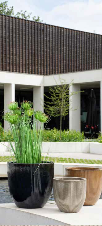 Résistantes au gel, avec des couleurs éclatentes et des formes variés, nos fournisseurs ont pour vous les pièces indispensables pour égayer les extérieurs.