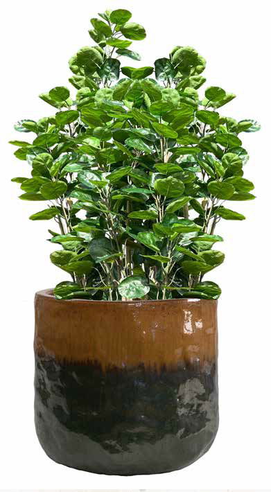 Résistantes au gel, avec des couleurs éclatentes et des formes variés, nos fournisseurs ont pour vous les pièces indispensables pour égayer les extérieurs.