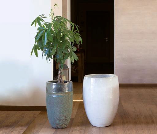 Résistantes au gel, avec des couleurs éclatentes et des formes variés, nos fournisseurs ont pour vous les pièces indispensables pour égayer les extérieurs.