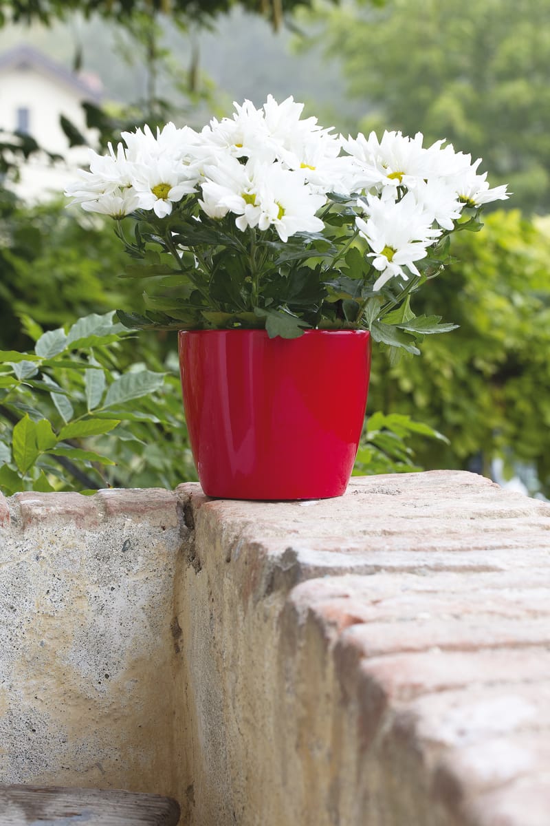 Choix de forme et de couleur infini pour varier les plaisir et habiller un intérieur