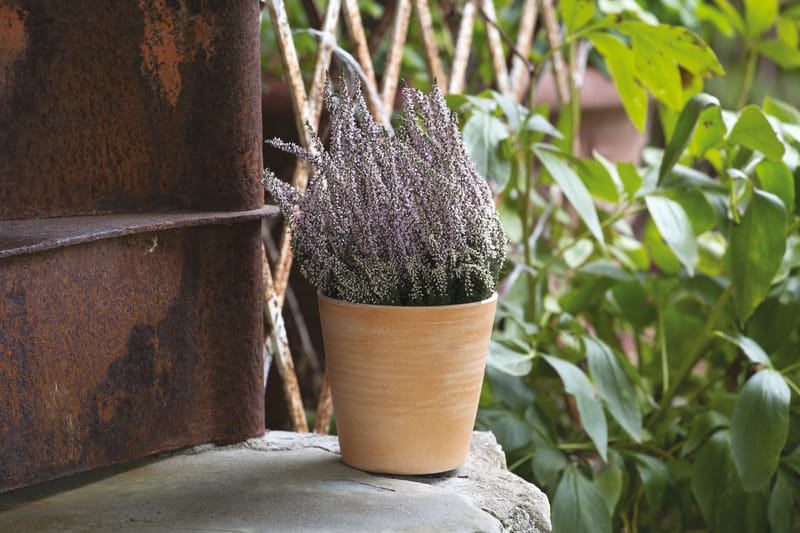 Choix de forme et de couleur infini pour varier les plaisir et habiller un intérieur