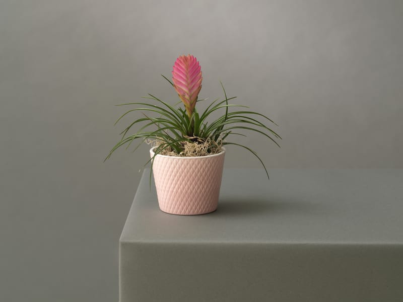 Choix de forme et de couleur infini pour varier les plaisir et habiller un intérieur