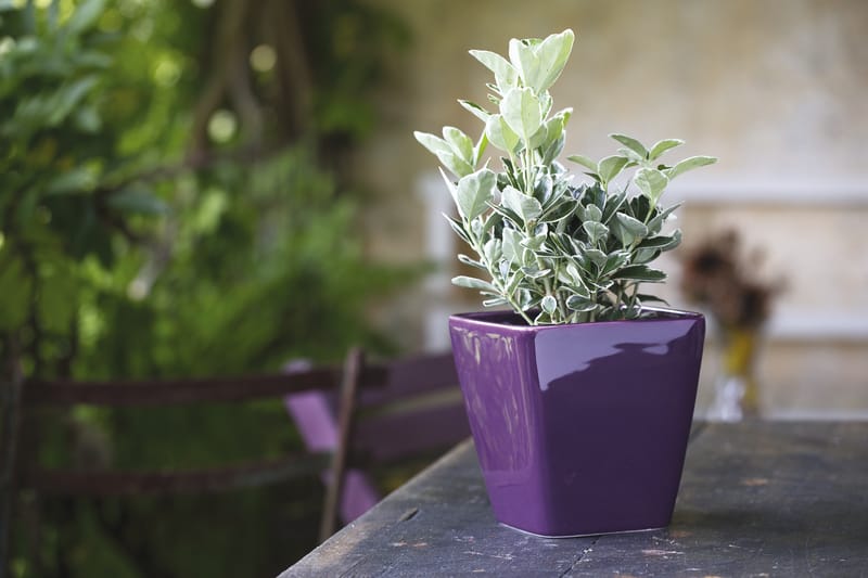 Choix de forme et de couleur infini pour varier les plaisir et habiller un intérieur