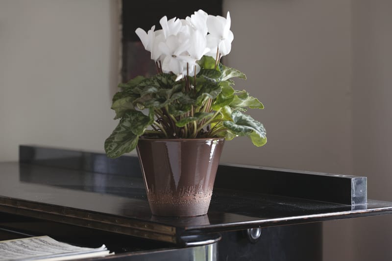 Choix de forme et de couleur infini pour varier les plaisir et habiller un intérieur