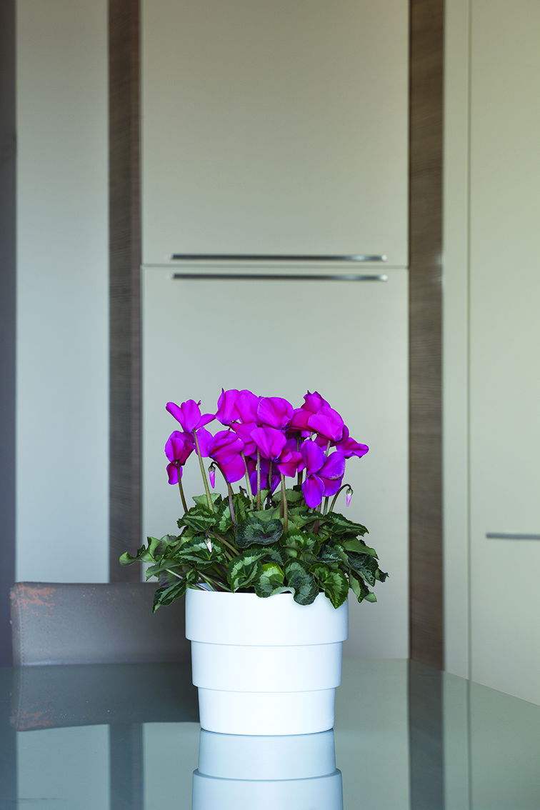 Choix de forme et de couleur infini pour varier les plaisir et habiller un intérieur