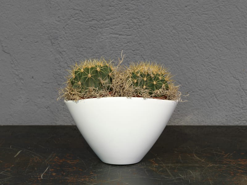 Choix de forme et de couleur infini pour varier les plaisir et habiller un intérieur