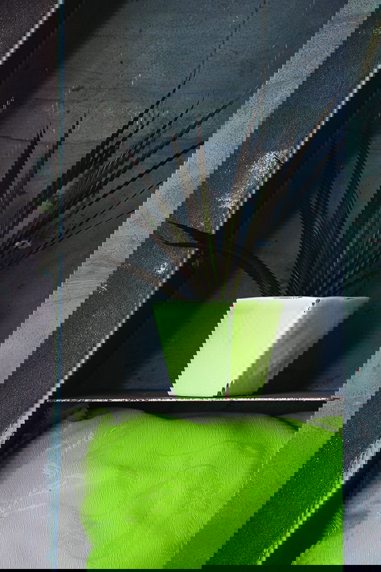 Choix de forme et de couleur infini pour varier les plaisir et habiller un intérieur