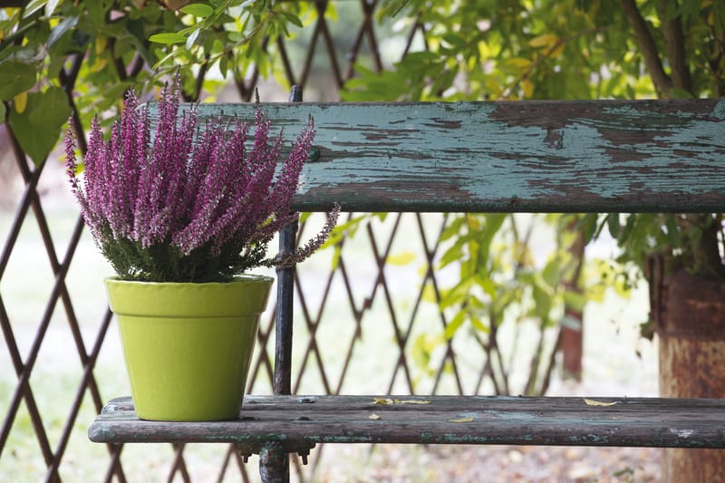 Choix de forme et de couleur infini pour varier les plaisir et habiller un intérieur