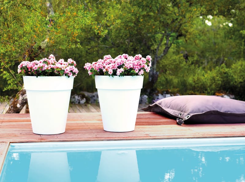 Pour tous les goûts!