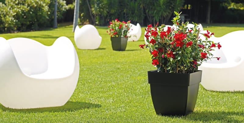 Pour tous les goûts!