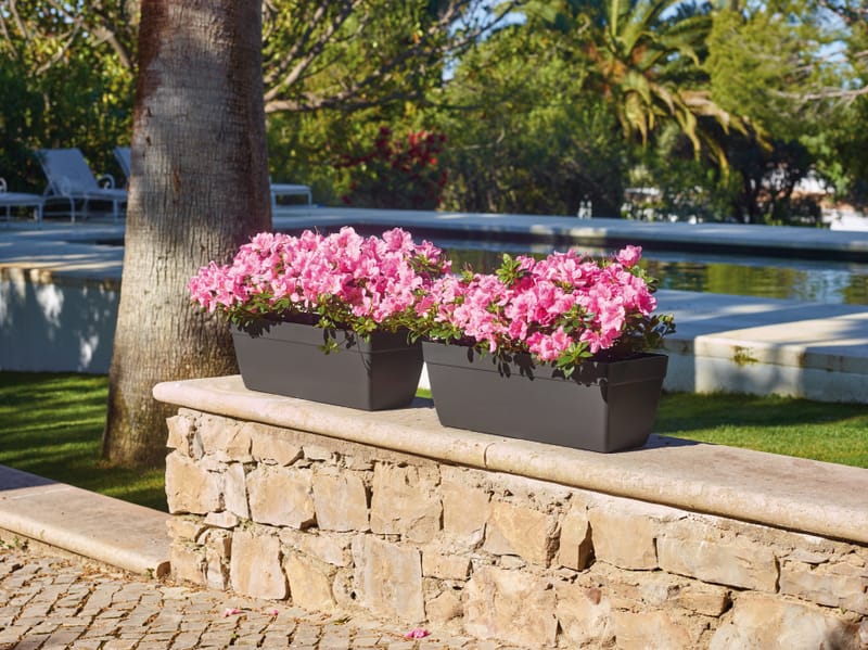 Pour tous les goûts!