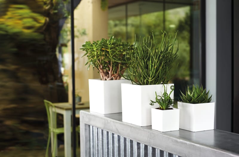 Pour tous les goûts!