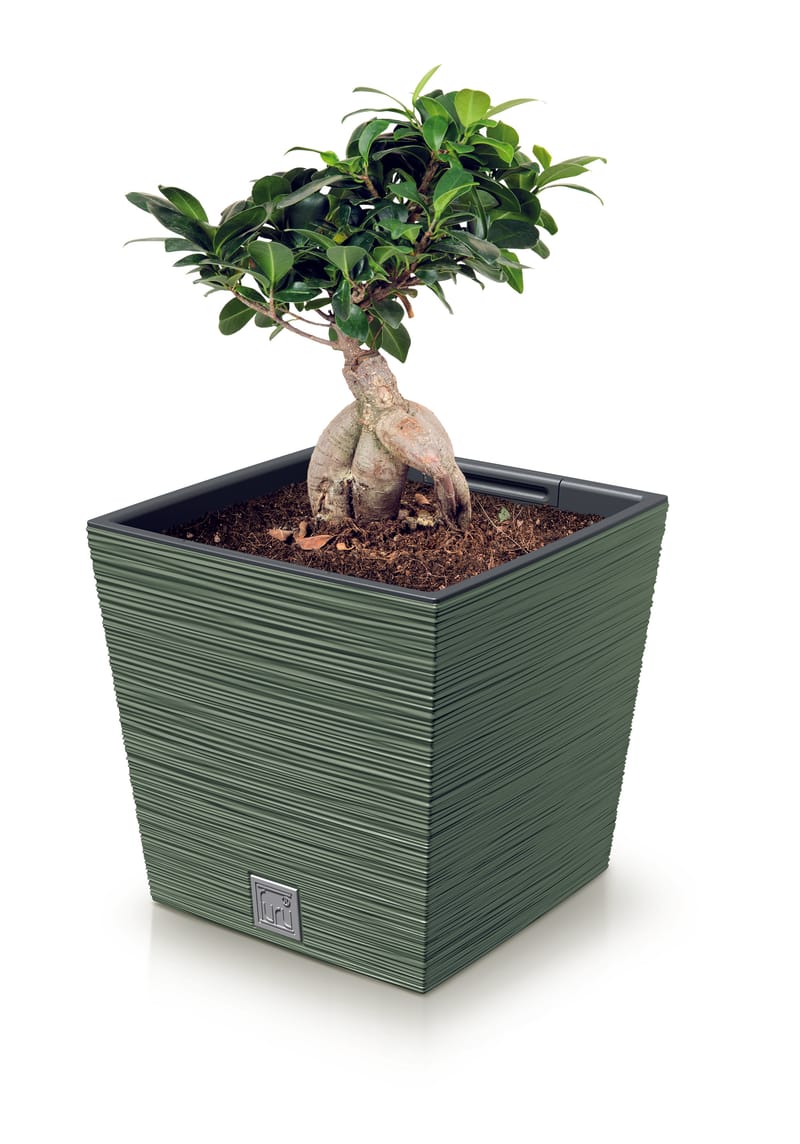 Pour tous les goûts!