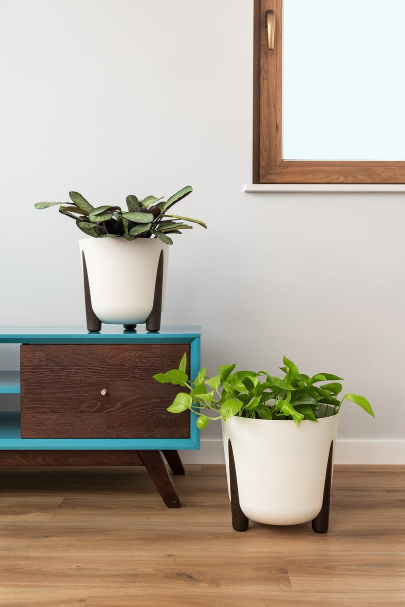 Pour tous les goûts!