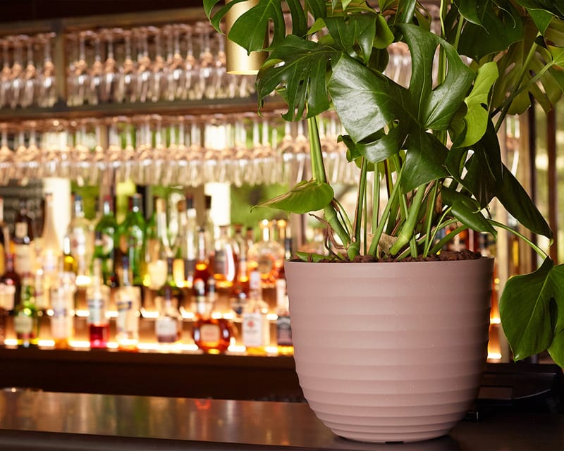 Pour tous les goûts!