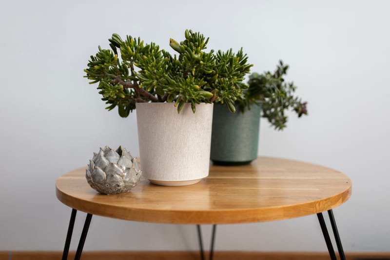 Pour tous les goûts!