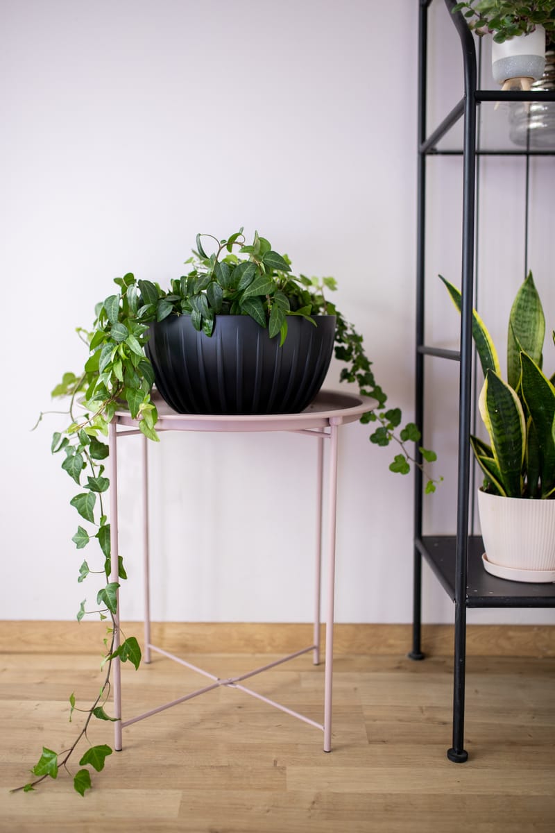 Pour tous les goûts!