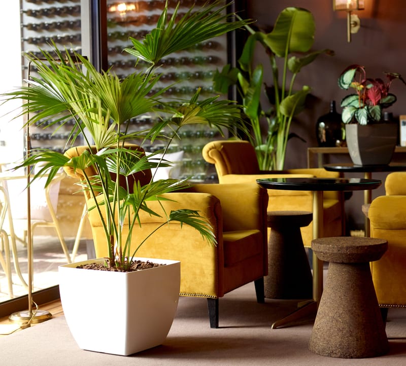 Pour tous les goûts!