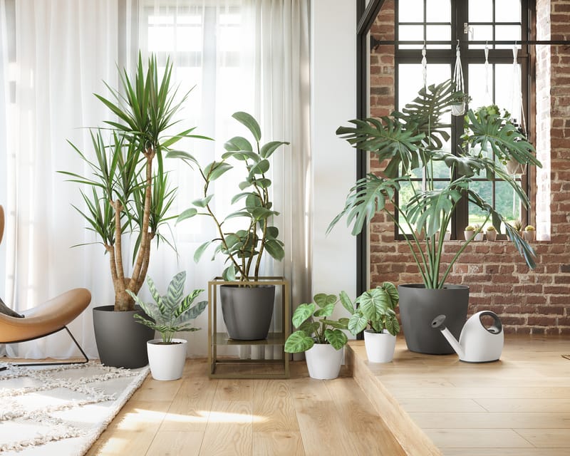 Pour tous les goûts!