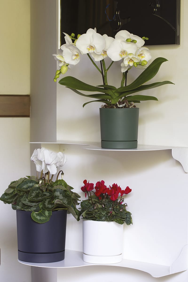 Pour tous les goûts!