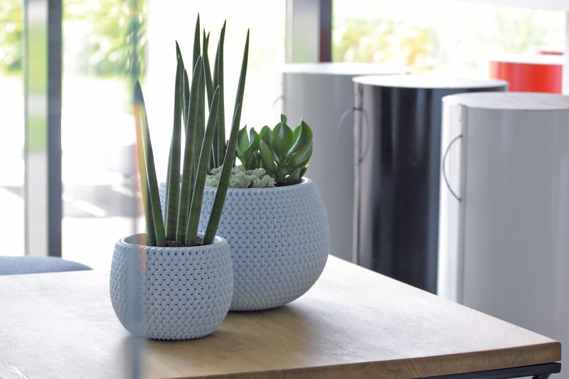 Pour tous les goûts!