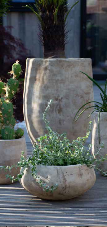 Résistante au gel, nous vous proposons une gamme étendue de poteries en terre cuite du plus bel effet nature 