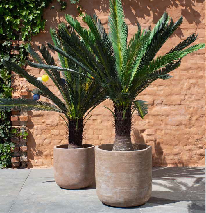 Résistante au gel, nous vous proposons une gamme étendue de poteries en terre cuite du plus bel effet nature 