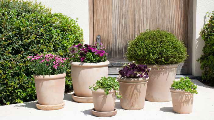 Résistante au gel, nous vous proposons une gamme étendue de poteries en terre cuite du plus bel effet nature 